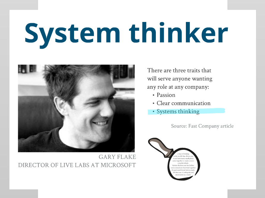 system thinker